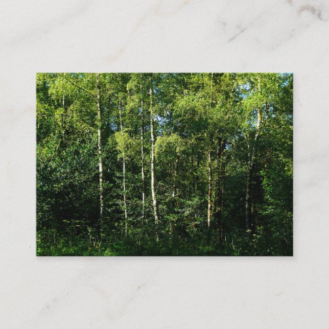 Carte De Visite Arbres à bouleau d'argent, Mini photo (Devant)
