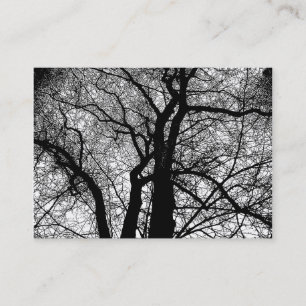 Carte De Visite Arbres à fort contraste