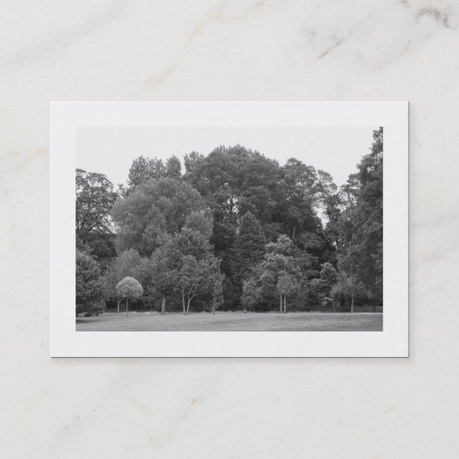 Carte De Visite Arbres, Bute Park, Cardiff (Devant)