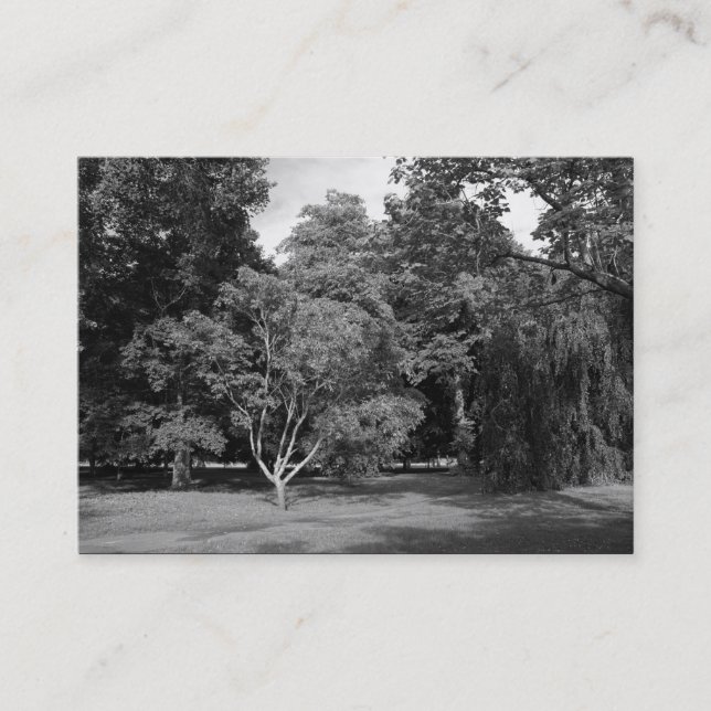 Carte De Visite Arbres, Bute Park, Cardiff BW (Devant)