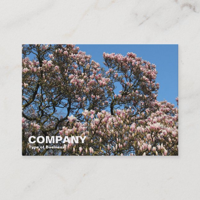 Carte De Visite Arbres de Magnolia en fleurs (Devant)