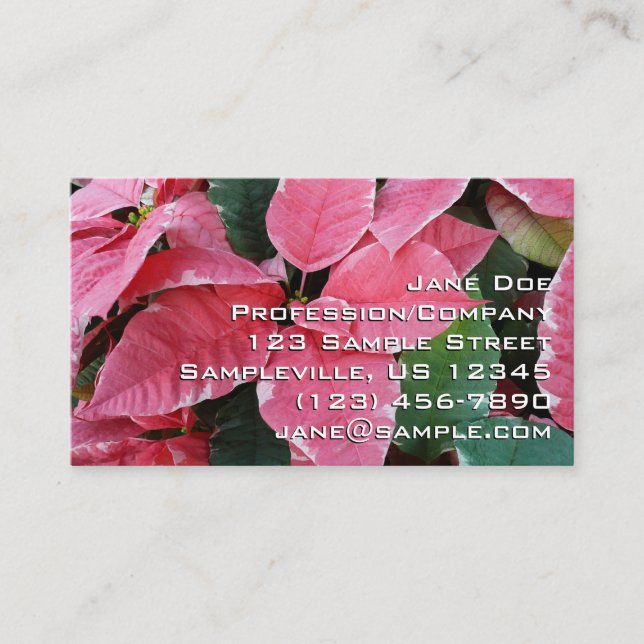 Carte De Visite Argent Star Marbre Poinsettias Pink Holiday Floral (Devant)