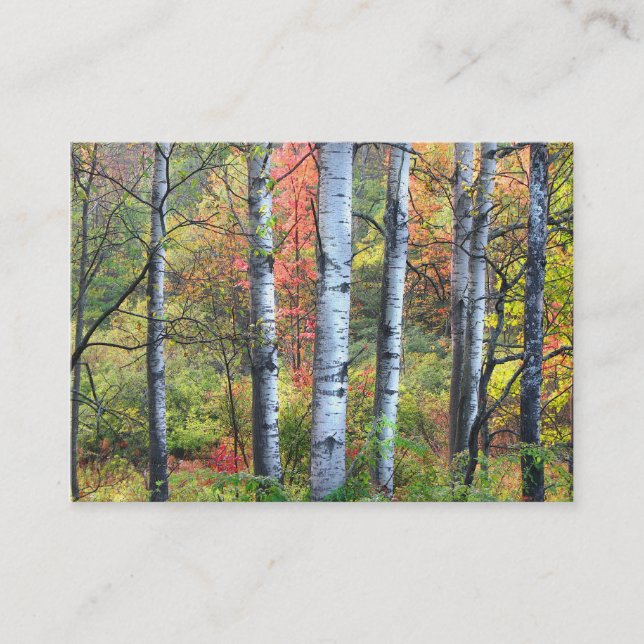 Carte De Visite Aspens dans l'ATC d'automne (Devant)