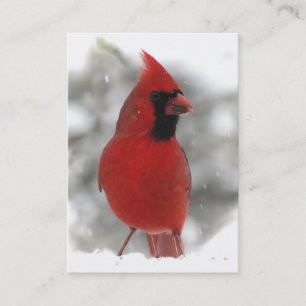 Carte De Visite ATC cardinal