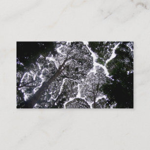 Carte De Visite aucun aménagement d'arbres de contact