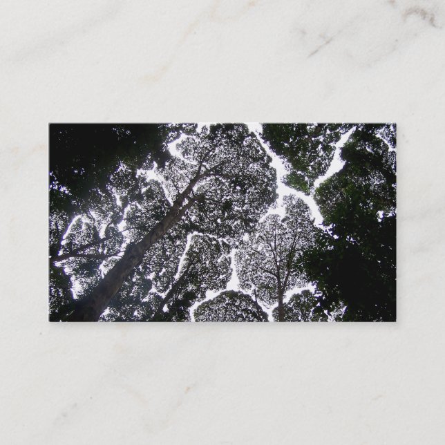 Carte De Visite aucun aménagement d'arbres de contact (Devant)