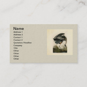Carte De Visite Audubon Great Blue Heron Marsh Bird