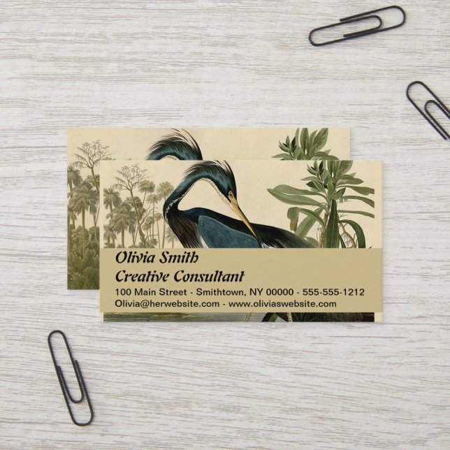 Carte De Visite Audubon Louisiana Heron Birds America Art (Devant/Arrière en situation)