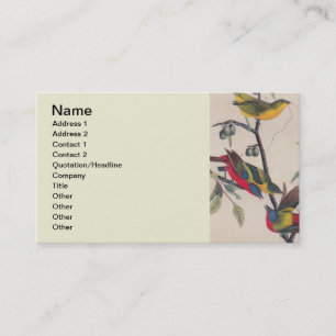 Carte De Visite Audubon Peint Bunting Bird Wildlife