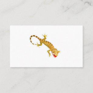 Carte De Visite Autocollant Gecko Tokay Exotique Vivant - Tache Co