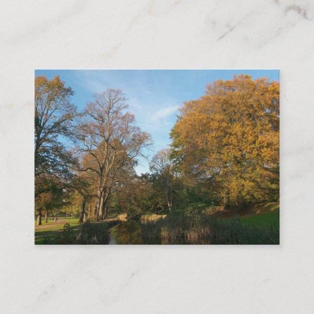 Carte De Visite Automne dans le parc (Devant)