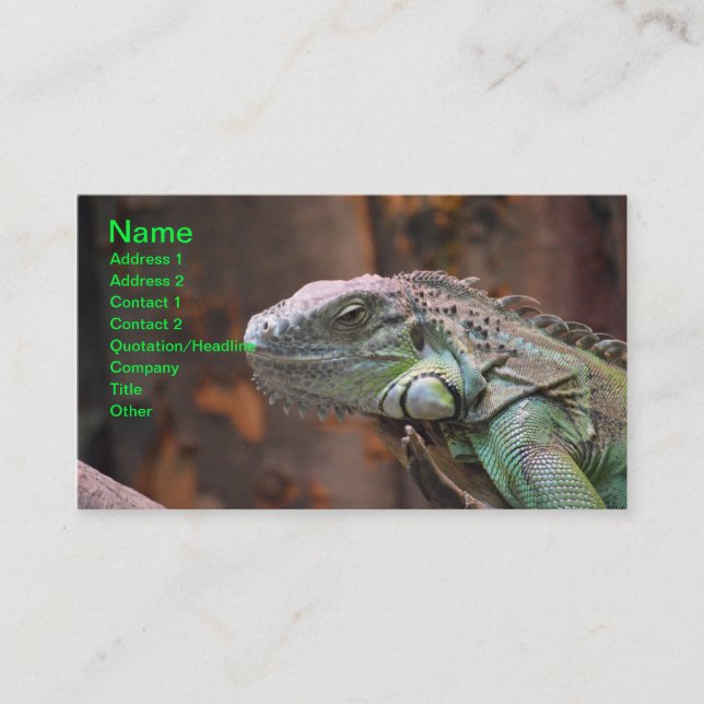 Carte de visite avec le lézard coloré d'iguane (Devant)