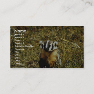 Carte De Visite Badger