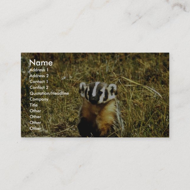 Carte De Visite Badger (Devant)