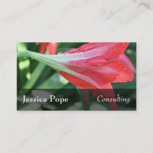 Carte De Visite Baisses de l'eau sur la photo rouge de Daylilies,