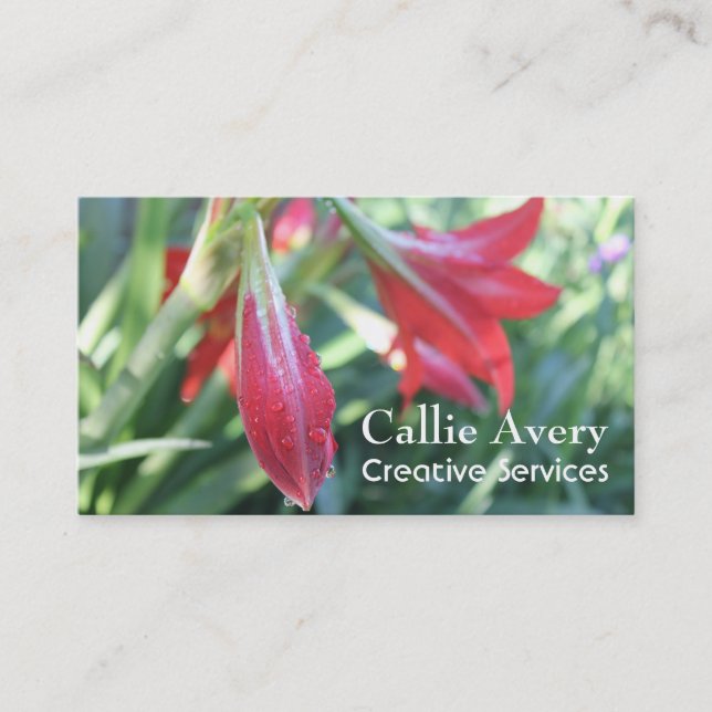 Carte De Visite Baisses de l'eau sur la photo rouge de Daylilies, (Devant)