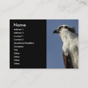 Carte De Visite balbuzard