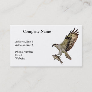 Carte De Visite Balbuzard chassé par un merle à ailes rouges