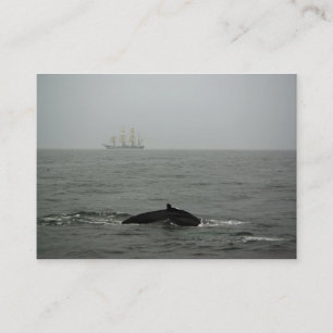 Carte De Visite Baleine à bosse et gros navire Mini impression