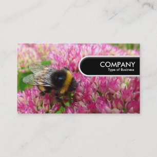 Carte De Visite Balise Arête Arrondie - Bumble Bee sur Sedum