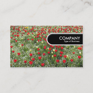 Carte De Visite Balise Arête arrondie - Lit de tulipes