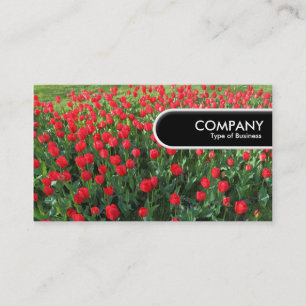 Carte De Visite Balise Arête Arrondie - Lit de Tulipes Rouges 01