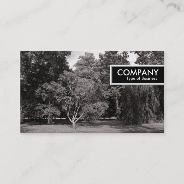 Carte De Visite Balise de bord - Arbres, Bute Park, Cardiff - Warm (Devant)