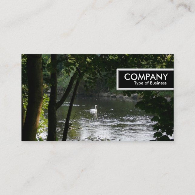 Carte De Visite Balise de bord - Cygne sur la rivière (Devant)
