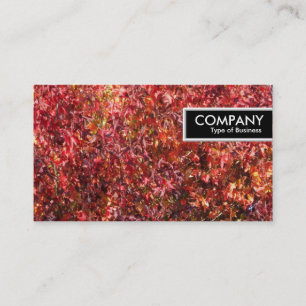 Carte De Visite Balise de bord - Feuilles d'automne