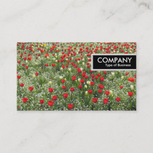 Carte De Visite Balise de bord - Lit de tulipes