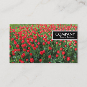 Carte De Visite Balise de bord - Lit de tulipes rouges 01