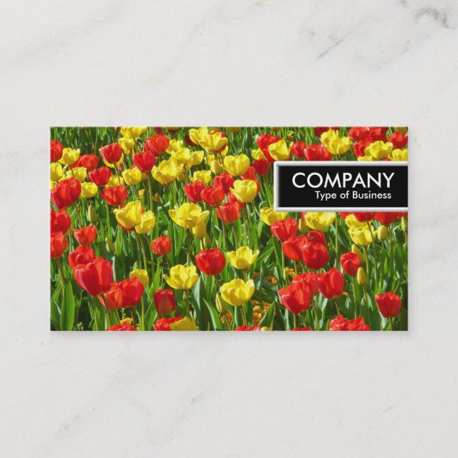 Carte De Visite Balise de bord - Mer des Tulipes III (Devant)