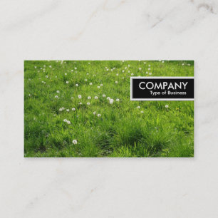 Carte De Visite Balise de bord - Pré de Dandelion 01