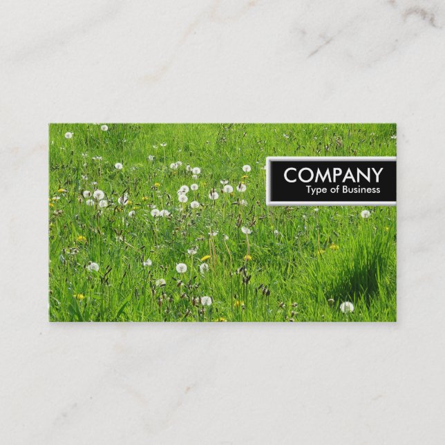 Carte De Visite Balise de bord - Pré de Dandelion 02 (Devant)