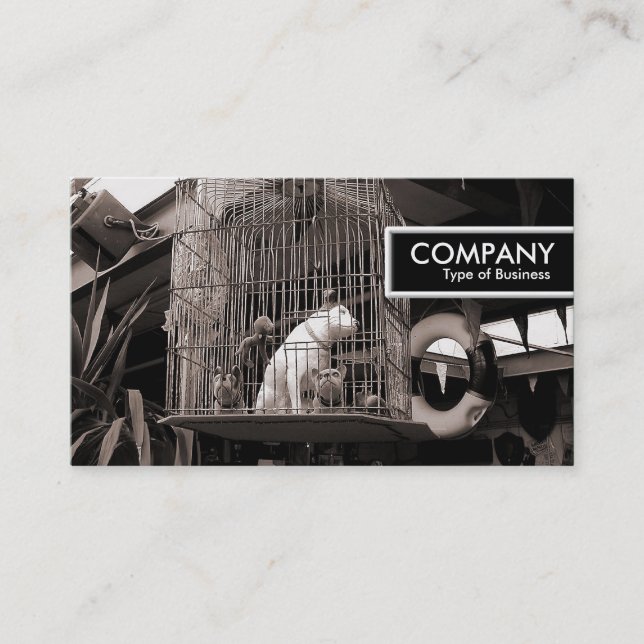 Carte De Visite Balise Edge - Bêtes en cage (Devant)