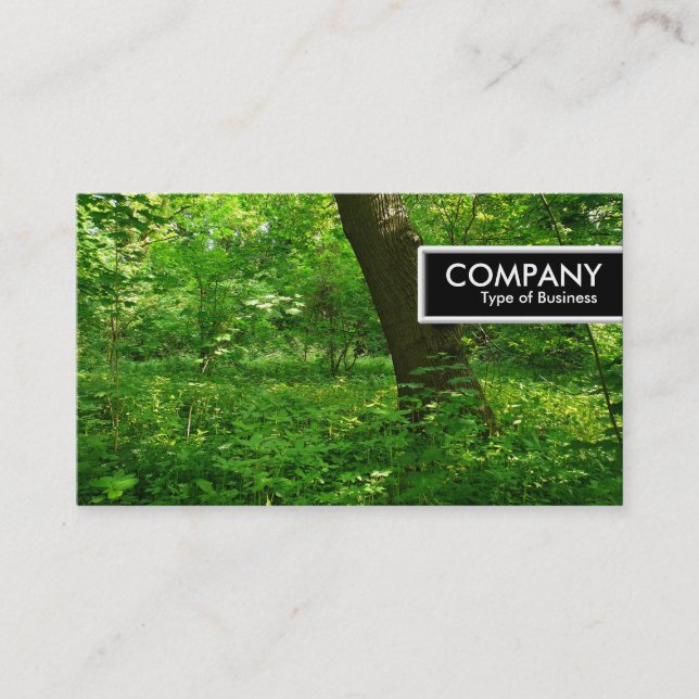 Carte De Visite Balise Edge - Ressort dans les bois (Devant)