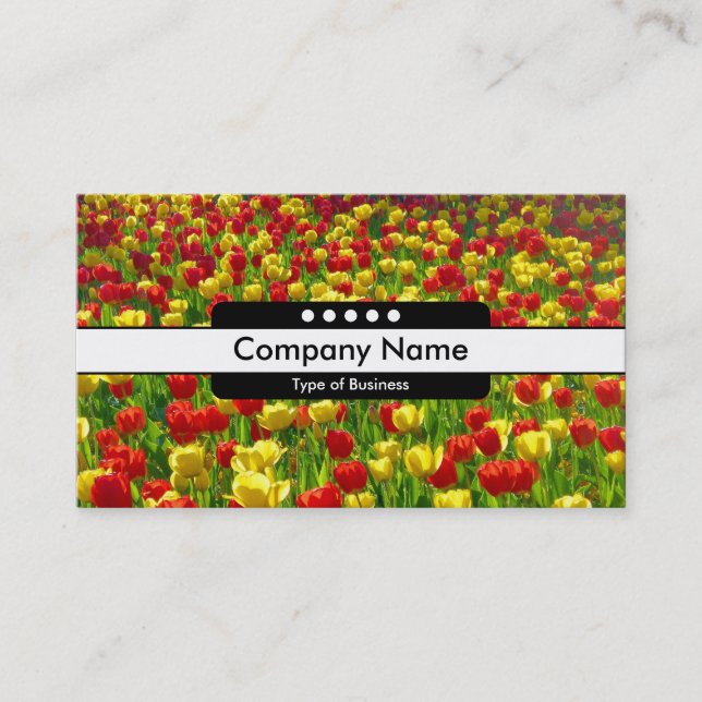 Carte De Visite Bande centrale 5 spots - Mer des tulipes (Devant)