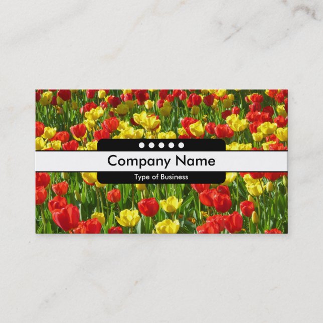 Carte De Visite Bande centrale 5 Spots - Mer des Tulipes III (Devant)