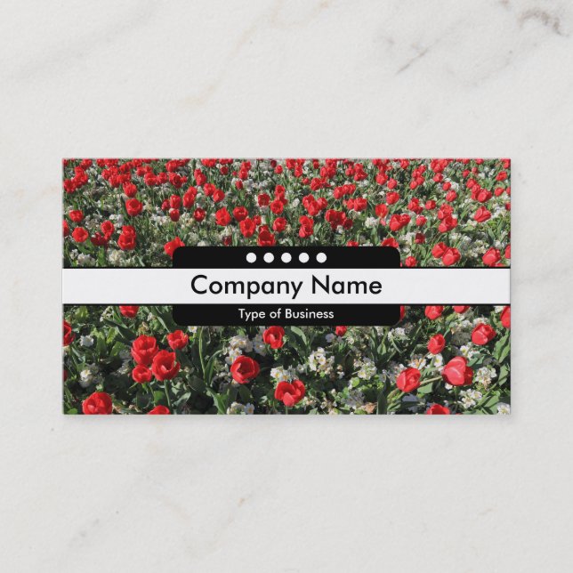 Carte De Visite Bande centrale 5 Spots - Tulipes rouges et Primros (Devant)