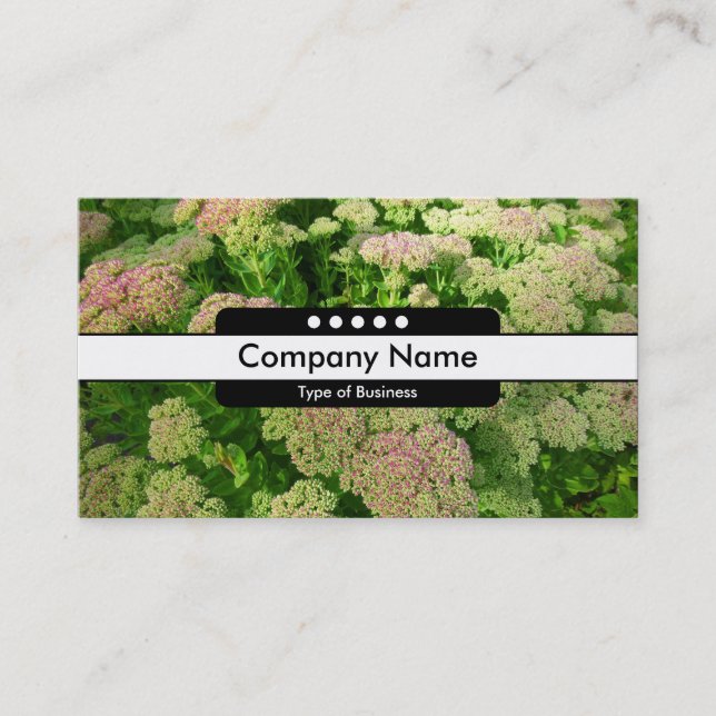 Carte De Visite Bande Centre 5 Spots - Sdum "Autumn Joy" (Devant)