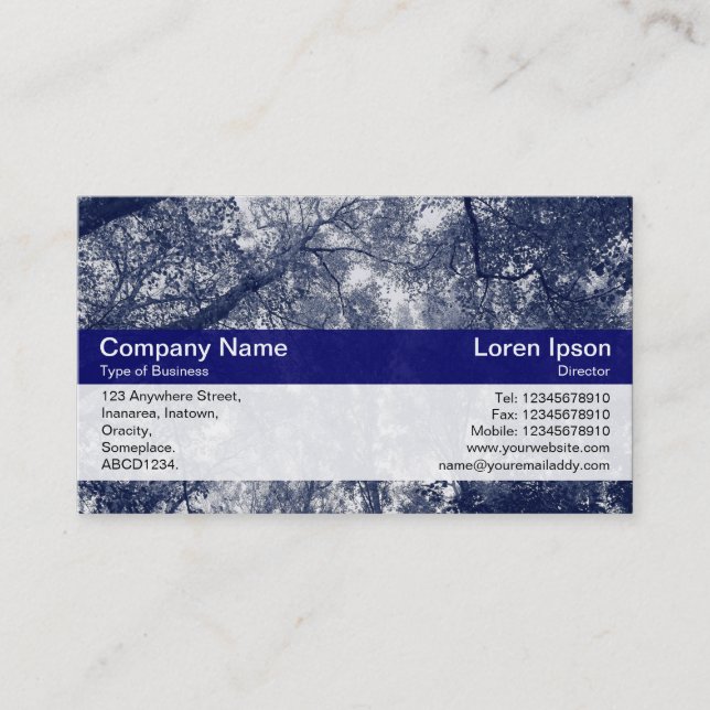 Carte De Visite Bande Couleur - Dp Navy - Automne Bleu (Devant)