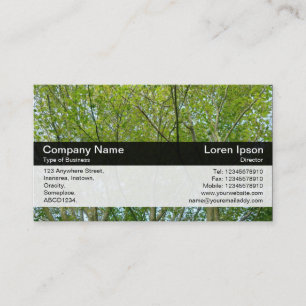 Carte De Visite Bande de couleurs - Noir - Érable japonais