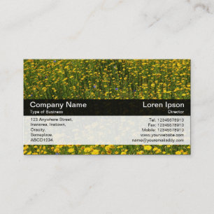 Carte De Visite Bande de couleurs - Noir - Lit de marguerites jaun