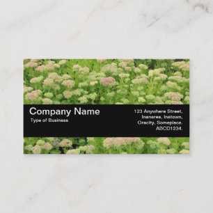 Carte De Visite Bande de texture V2 - Sedum (Joie d'automne)