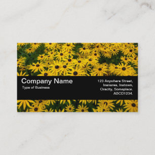 Carte De Visite Bande de texture V2 - Susans aux yeux noirs (Rudbe