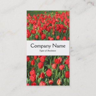 Carte De Visite Bande du centre - Tulipes rouges