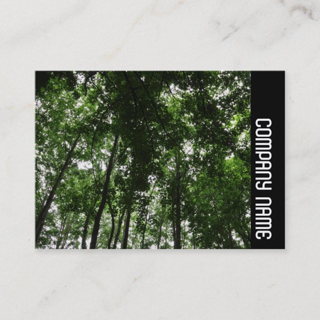 Carte De Visite Bande latérale - Bande boisée 01 (Devant)