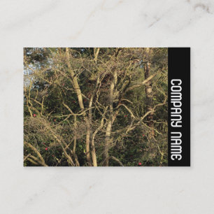 Carte De Visite Bande latérale - Branches dorées