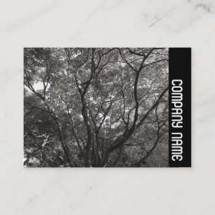 Carte De Visite Bande latérale - Branches japonaises 02