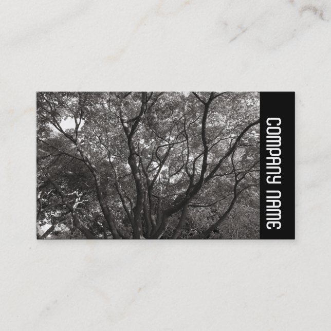 Carte De Visite Bande latérale - Branches japonaises 02 (Devant)